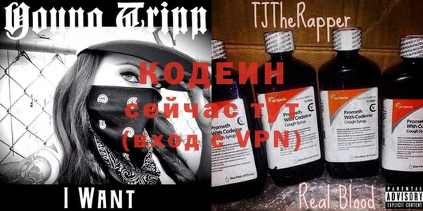 ешки Осинники
