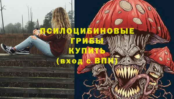 крисы Нязепетровск