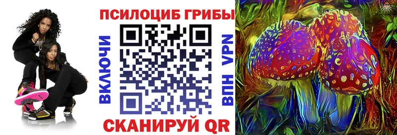 Псилоцибиновые грибы GOLDEN TEACHER  Братск 