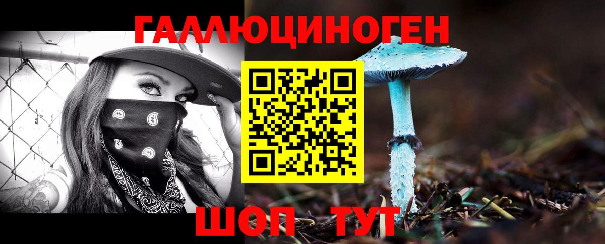 магазин  наркотиков  Братск  Псилоцибиновые грибы мицелий 